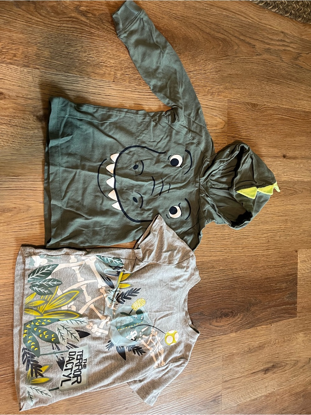 Tommy Bahama Shirt, 24m, Carters Long Sleeve Shirt with Hood, 2T, Dinosaur